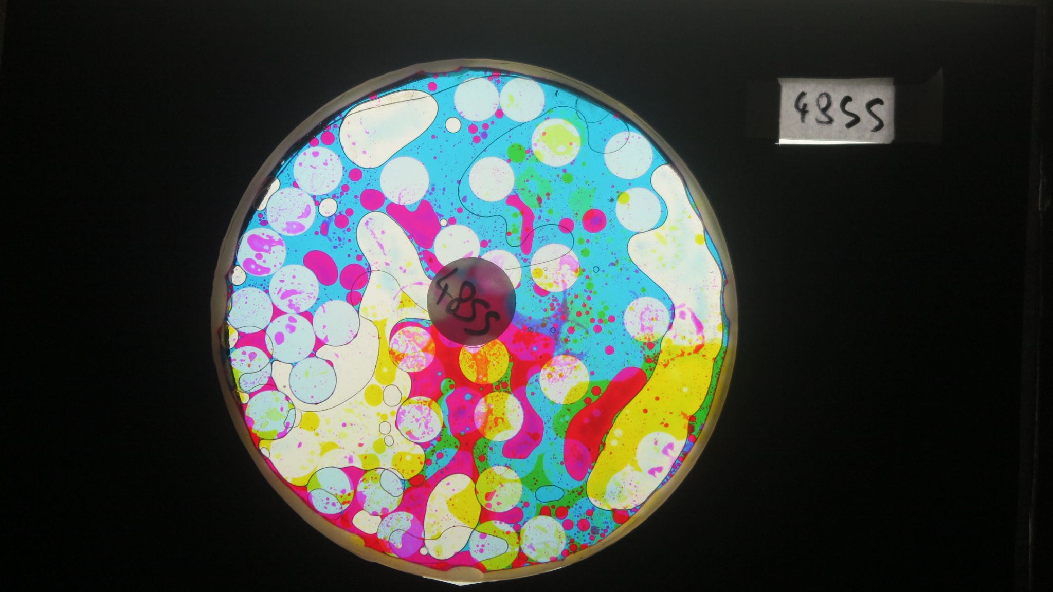 BV4855 bubble vision oil wheel